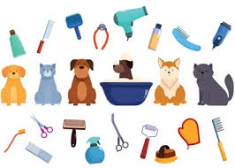 وسایل مورد نیاز برای نگهداری حیوانات