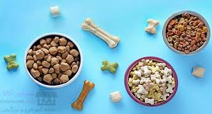 راهنمایی غذای مناسب سگ