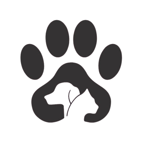 پت شاپ ماتیلدا